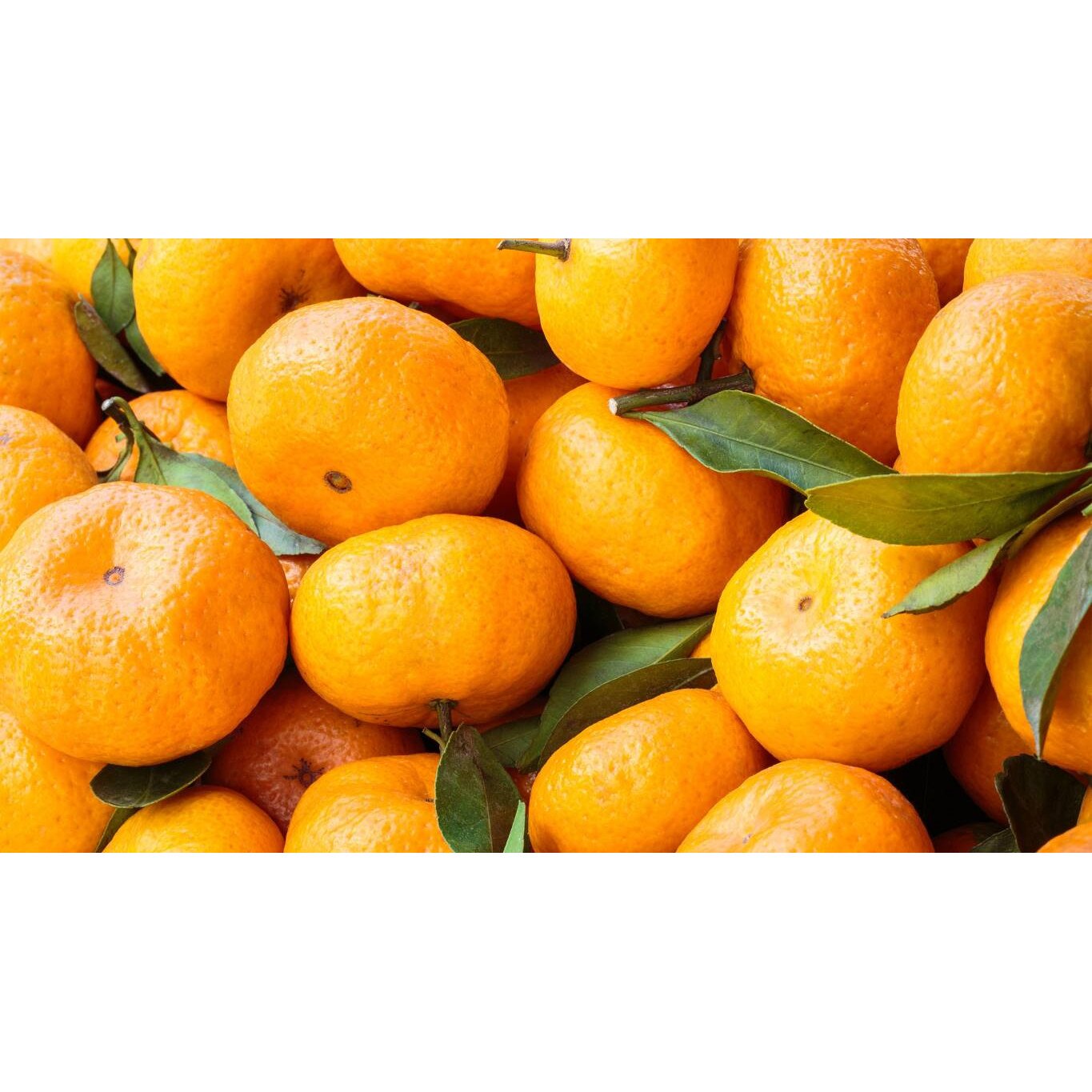 Tablou canvas 75x50 cm, Mancare si Bautura model 375