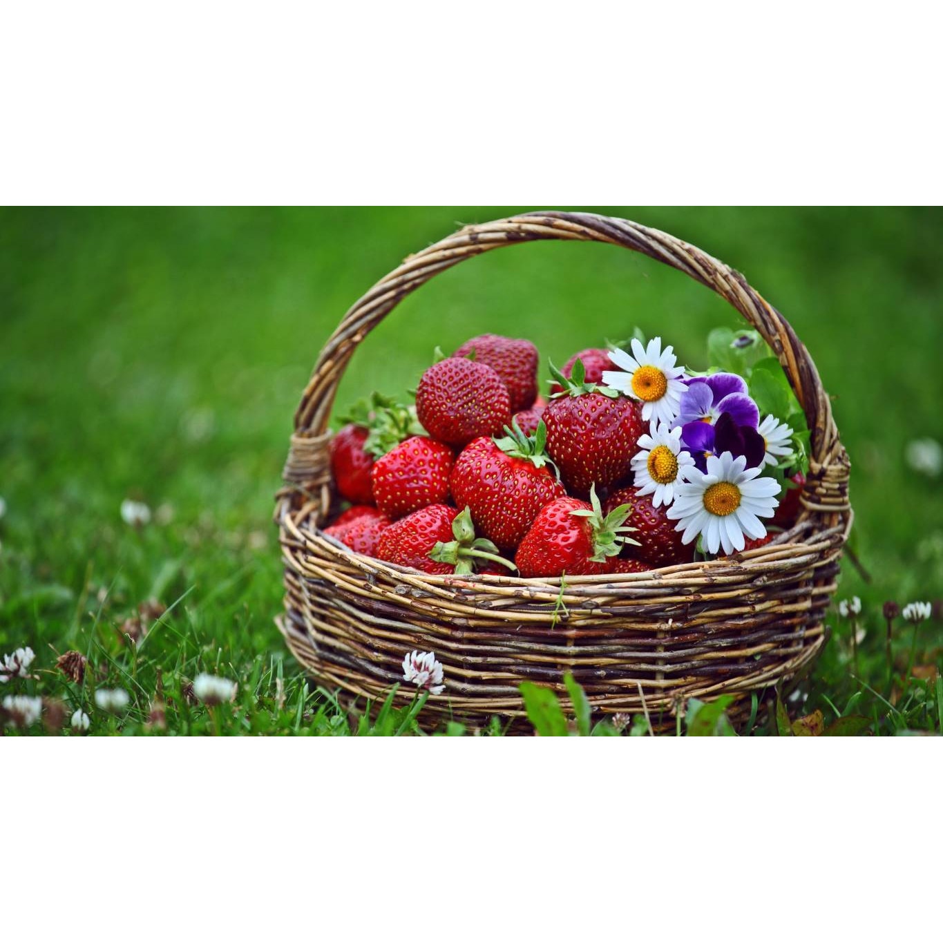 Tablou canvas 50x35 cm, Mancare & Bautura model 376