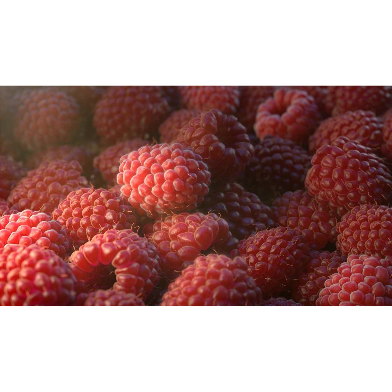 Tablou canvas 75x50 cm, Mancare si Bautura model 363