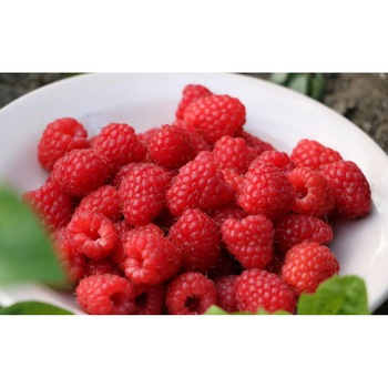 Tablou canvas 50x35 cm, Mancare & Bautura model 386 Tablou canvas 50x35 cm, Mancare & Bautura model 386