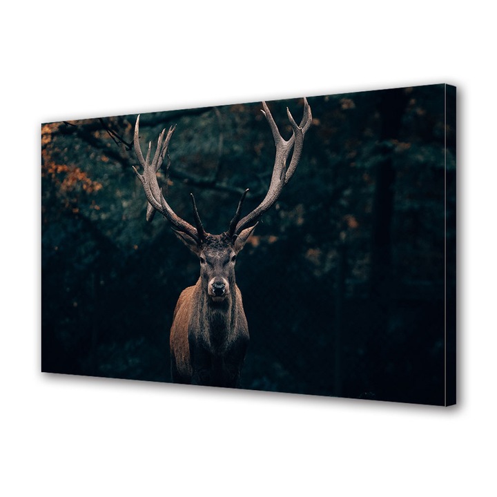 Tablou Canvas Fosforescent, Luminos in Intuneric, Premium, Art Star, Cerb fotogenic, Animale, Panza pe cadru de lemn, Decoratiuni Moderne pentru Casa, 40 x 60 cm