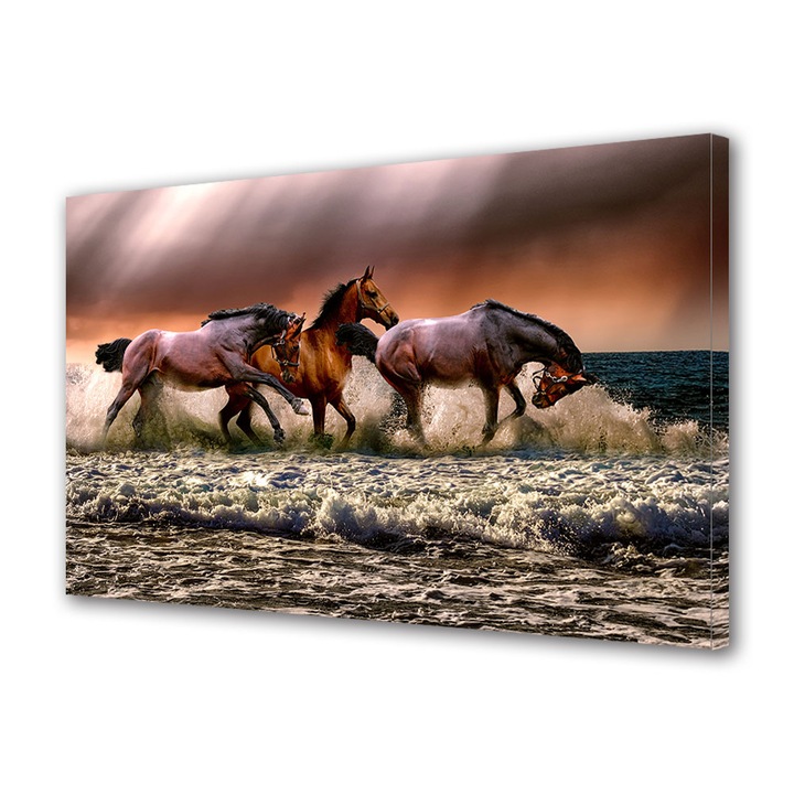 Tablou Canvas Premium, Art Star, Cai la mare, Animale, Panza pe cadru de lemn, Decoratiuni Moderne pentru Casa, 80 x 120 cm
