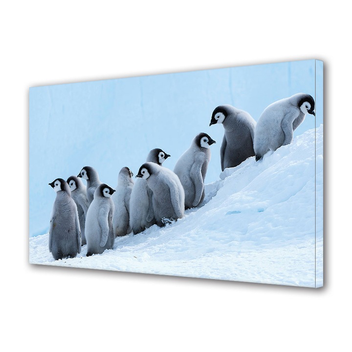 Tablou Canvas Led cu Intrerupator, Luminos in Intuneric, Premium, Art Star, Adunarea pinguinilor, Animale, Panza pe cadru de lemn, Decoratiuni Moderne pentru Casa, 30 x 45 cm