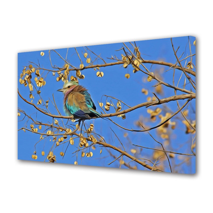 Tablou Canvas Premium, Art Star, Pasare multicolora singuratica, Animale, Panza pe cadru de lemn, Decoratiuni Moderne pentru Casa, 20 x 30 cm