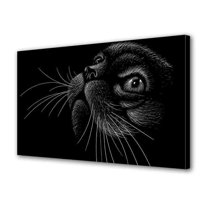 Tablou Canvas Premium, Art Star, Desen conturat cu o pisica pe fundal negru, Animale, Panza pe cadru de lemn, Decoratiuni Moderne pentru Casa, 40 x 60 cm