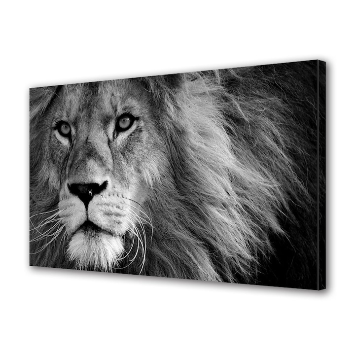 Tablou Canvas Premium, Art Star, Leu in alb si negru, Animale, Panza pe cadru de lemn, Decoratiuni Moderne pentru Casa, 60 x 90 cm