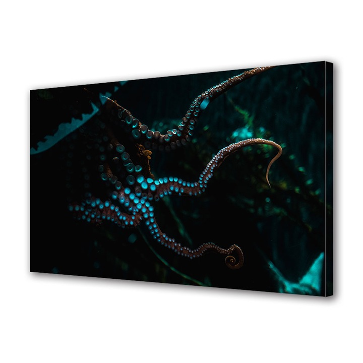 Tablou Canvas Premium, Art Star, Tentacule iluminate, Animale, Panza pe cadru de lemn, Decoratiuni Moderne pentru Casa, 20 x 30 cm