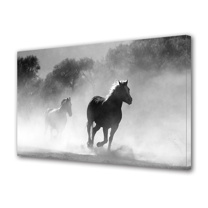 Tablou Canvas Premium, Art Star, Cai tropaind, Animale, Panza pe cadru de lemn, Decoratiuni Moderne pentru Casa, 80 x 120 cm