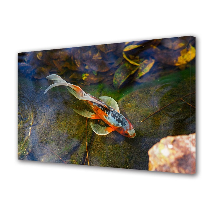 Tablou Canvas Premium, Art Star, Peste elegant in apa limpede, Animale, Panza pe cadru de lemn, Decoratiuni Moderne pentru Casa, 20 x 30 cm