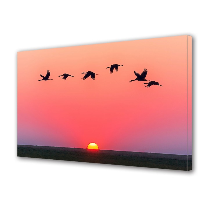 Tablou Canvas Premium, Art Star, Pasari calatorind deasupra apusului, Animale, Panza pe cadru de lemn, Decoratiuni Moderne pentru Casa, 20 x 30 cm