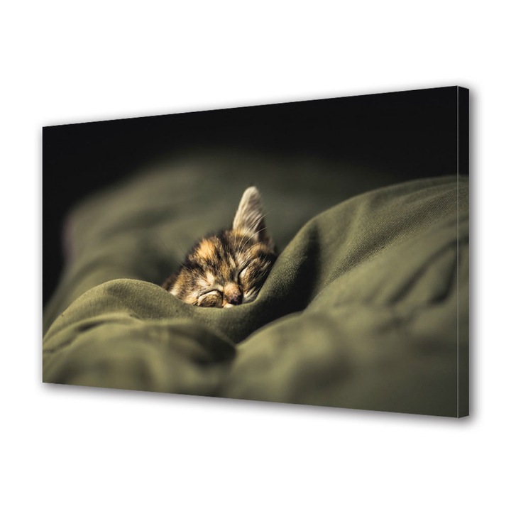 Tablou Canvas Fosforescent, Luminos in Intuneric, Premium, Art Star, Pui de pisica in lumea viselor, Animale, Panza pe cadru de lemn, Decoratiuni Moderne pentru Casa, 30 x 45 cm