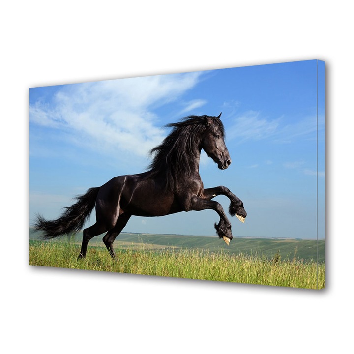 Tablou Canvas Premium, Art Star, Cal maiastru, Animale, Panza pe cadru de lemn, Decoratiuni Moderne pentru Casa, 20 x 30 cm