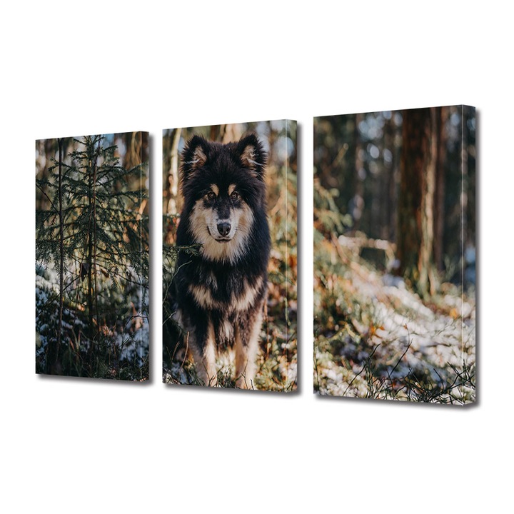 Set Tablouri Multicanvas 3 piese, Art Star, Caine bucurandu-se de natura, Animale, Panza pe cadru de lemn, Decoratiuni Moderne pentru Casa, 3 x 50 x 70 cm
