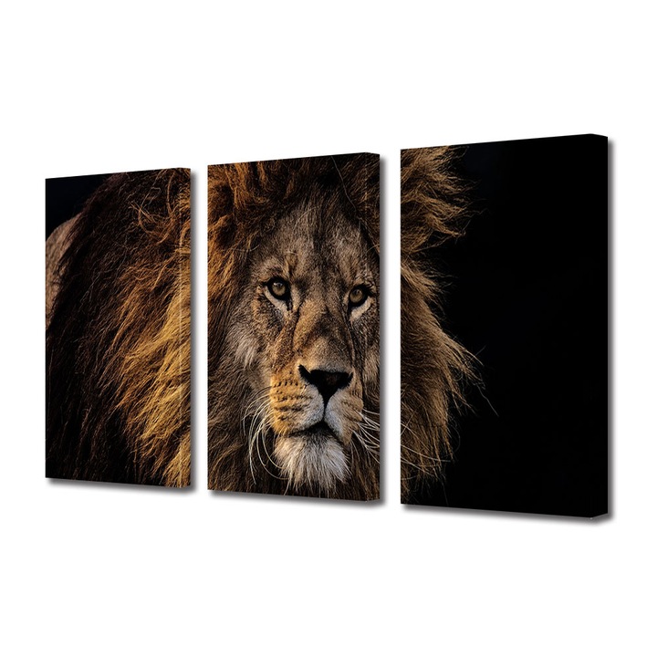 Set Tablouri Multicanvas 3 piese, Art Star, Leu feroce, Animale, Panza pe cadru de lemn, Decoratiuni Moderne pentru Casa, 3 x 20 x 30 cm