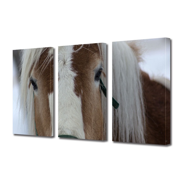 Set Tablouri Multicanvas 3 piese, Art Star, Cal fotografiat de aproape, Animale, Panza pe cadru de lemn, Decoratiuni Moderne pentru Casa, 3 x 20 x 30 cm