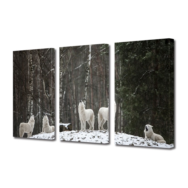 Set Tablouri Multicanvas 3 piese, Art Star, Haita de lupi, Animale, Panza pe cadru de lemn, Decoratiuni Moderne pentru Casa, 3 x 20 x 30 cm