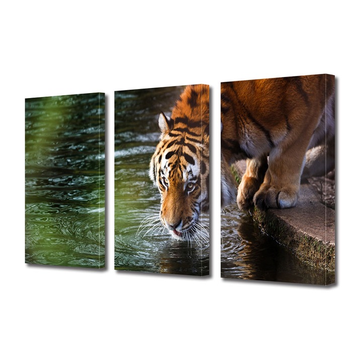 Set Tablouri Multicanvas 3 piese, Art Star, Tigru savurand apa rece, Animale, Panza pe cadru de lemn, Decoratiuni Moderne pentru Casa, 3 x 20 x 30 cm