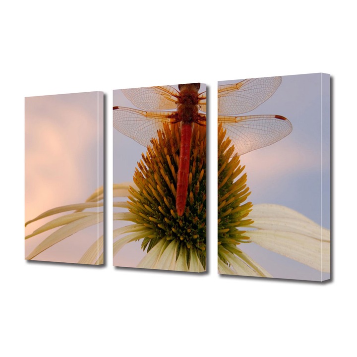 Set Tablouri Multicanvas 3 piese, Art Star, Libelula rosie pe floare, Animale, Panza pe cadru de lemn, Decoratiuni Moderne pentru Casa, 3 x 60 x 90 cm