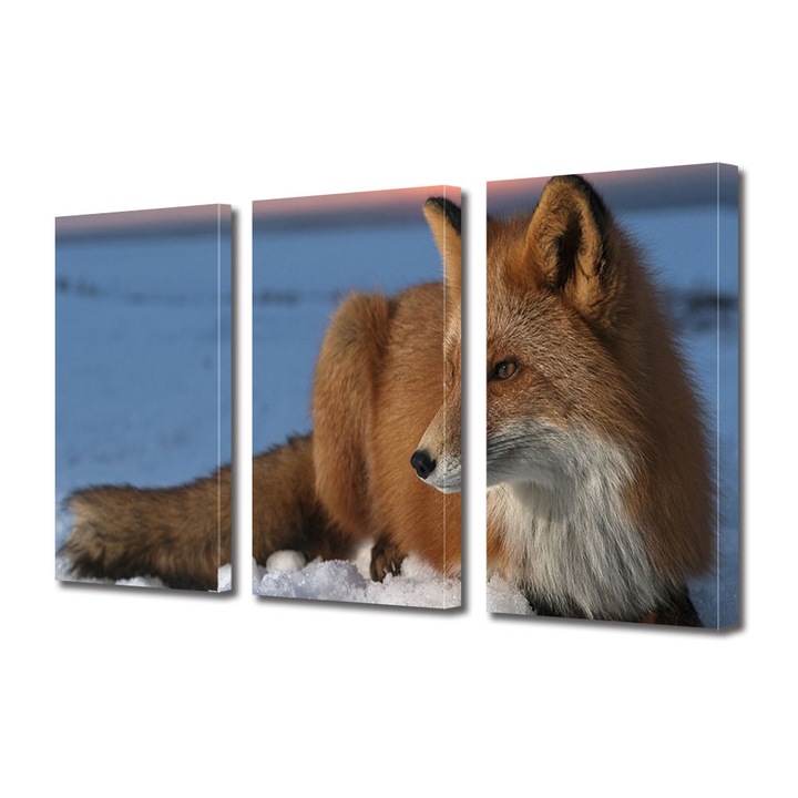 Set Tablouri Multicanvas 3 piese, Art Star, Vulpe urmarindu-si prada la apus, Animale, Panza pe cadru de lemn, Decoratiuni Moderne pentru Casa, 3 x 30 x 45 cm