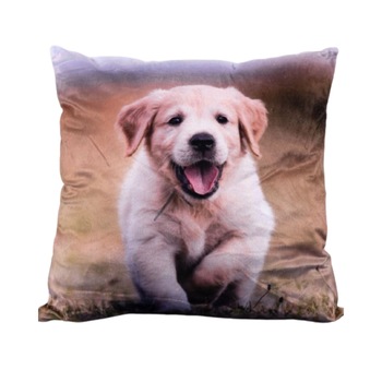 Perna Decorativa 50x50 cm, Puf siliconic si Catifea, Multicolor, Z08-03 Perna Decorativa 50x50 cm, Puf siliconic si Catifea, Multicolor, Z08-03