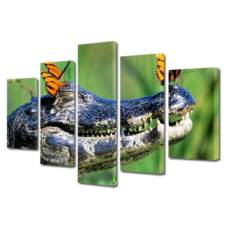 Set Tablouri Multicanvas 5 piese, Art Star, Crocodilul si prietenii fluturi, Animale, Panza pe cadru de lemn, Decoratiuni Moderne pentru Casa, 110 x 200 cm