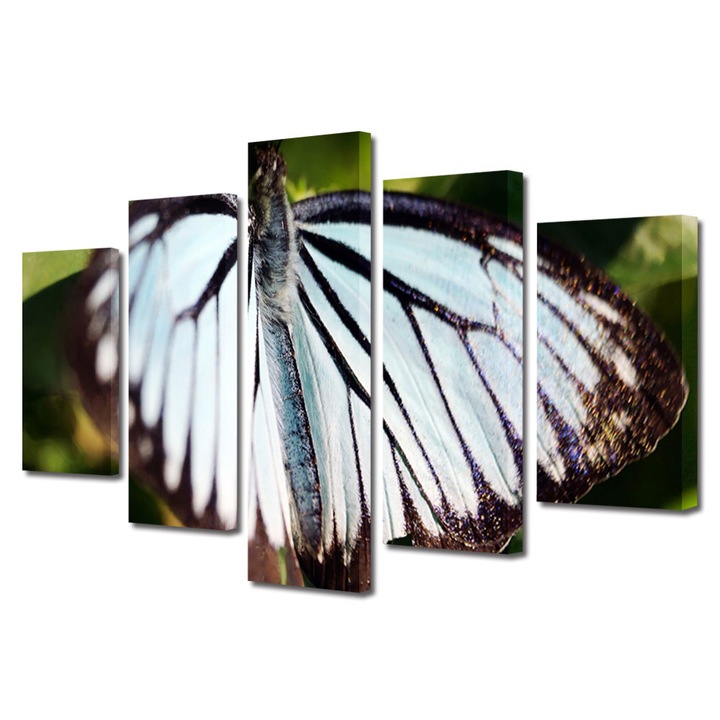 Set Tablouri Multicanvas 5 piese, Art Star, Fluture cu aripile in alb si maro, Animale, Panza pe cadru de lemn, Decoratiuni Moderne pentru Casa, 110 x 200 cm