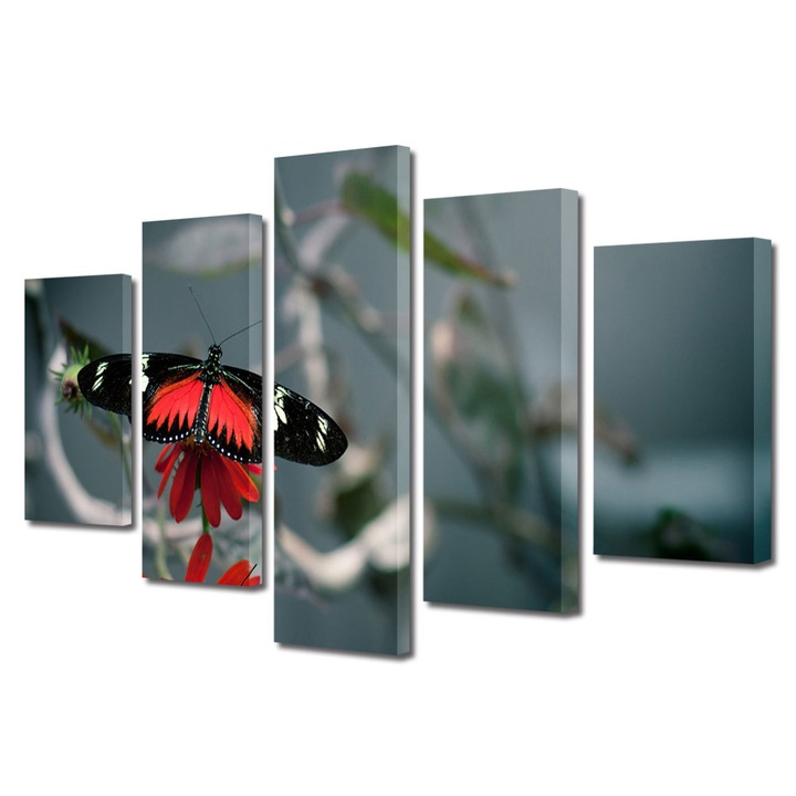 Set Tablouri Multicanvas 5 piese, Art Star, Fluture cu modele viu colorate, Animale, Panza pe cadru de lemn, Decoratiuni Moderne pentru Casa, 120 x 225 cm