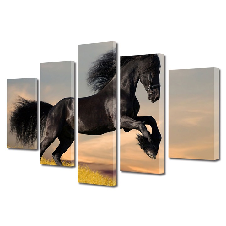 Set Tablouri Multicanvas 5 piese, Art Star, Cal negru defiland , Animale, Panza pe cadru de lemn, Decoratiuni Moderne pentru Casa, 70 x 125 cm