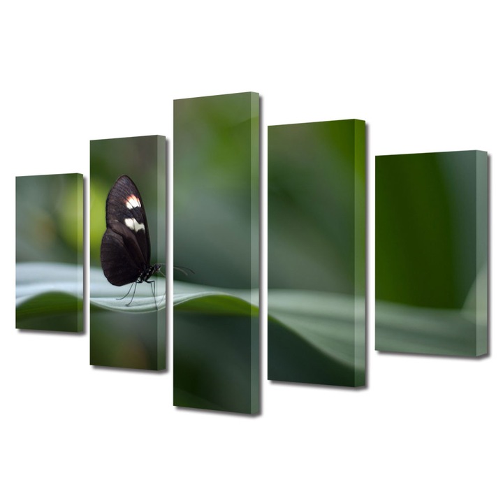 Set Tablouri Multicanvas 5 piese, Art Star, Fluture negru cu pete albe, Animale, Panza pe cadru de lemn, Decoratiuni Moderne pentru Casa, 110 x 200 cm