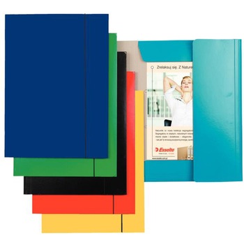 Mapa A4 Esselte carton plastifiat color ES13434 Mapa A4 Esselte carton plastifiat color ES13434