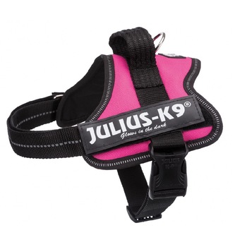 Ham Julius-K9 XS: 40–53 cm/22 mm, Fuchsia 150108 Ham Julius-K9 XS: 40–53 cm/22 mm, Fuchsia 150108