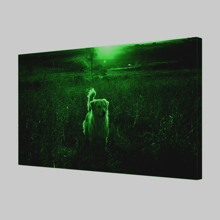 Tablou Canvas Fosforescent, Luminos in Intuneric, Premium, Art Star, Caine pe campie la rasarit, Animale, Panza pe cadru de lemn, Decoratiuni Moderne pentru Casa, 20 x 30 cm
