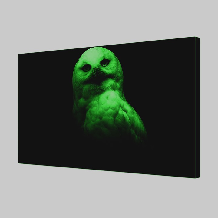 Tablou Canvas Fosforescent, Luminos in Intuneric, Premium, Art Star, Bufnita cu ochii caprui in intuneric, Animale, Panza pe cadru de lemn, Decoratiuni Moderne pentru Casa, 60 x 90 cm