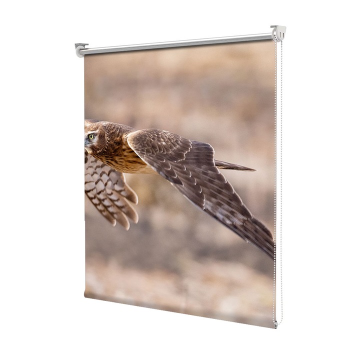 Roleta Art Shade tip Jaluzea cu Rulou si sistem inclus, Art Star, Pasare rapitoare la vanatoare, Animale, Decoratiuni, Latime 140 cm x Inaltime 130 cm