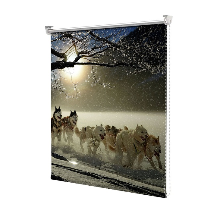 Roleta Art Shade tip Jaluzea cu Rulou si sistem inclus, Art Star, Caini tragand o sanie, Animale, Decoratiuni, Latime 140 cm x Inaltime 130 cm
