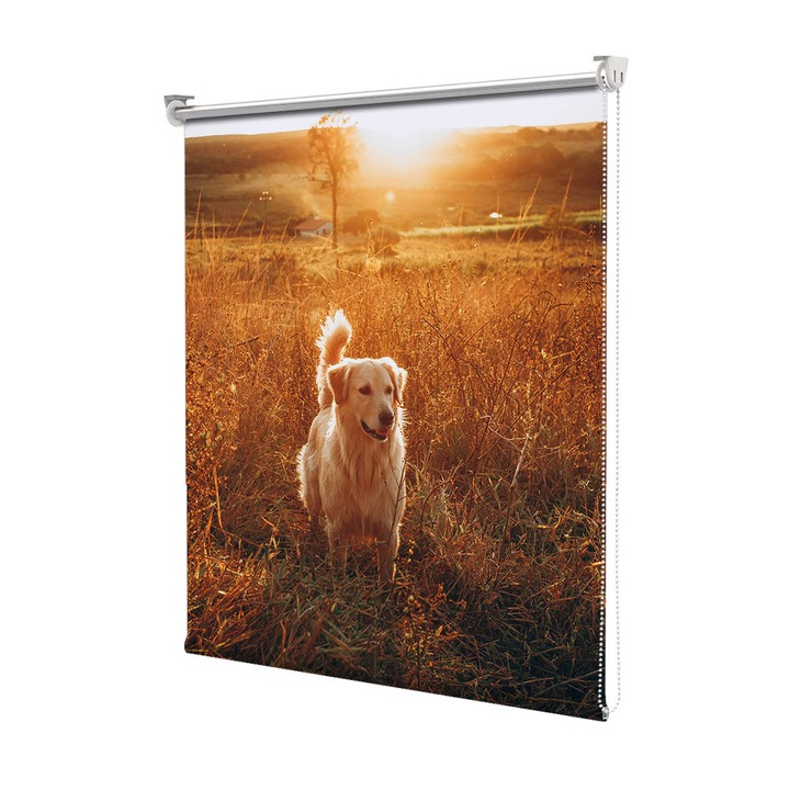 Roleta Art Shade tip Jaluzea cu Rulou si sistem inclus, Art Star, Caine pe campie la rasarit, Animale, Decoratiuni, Latime 130 cm x Inaltime 130 cm