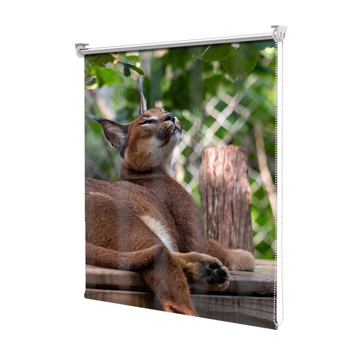 Roleta Art Shade tip Jaluzea cu Rulou si sistem inclus, Art Star, Linx mandru, Animale, Decoratiuni, Latime 130 cm x Inaltime 130 cm