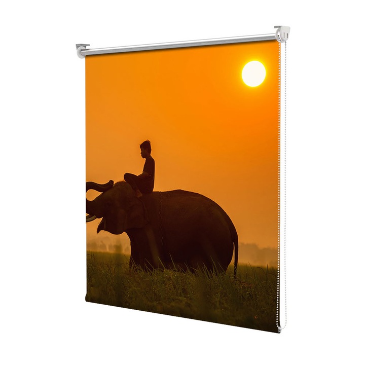 Roleta Art Shade tip Jaluzea cu Rulou si sistem inclus, Art Star, Calarind un elefant, Animale, Decoratiuni, Latime 90 cm x Inaltime 250 cm