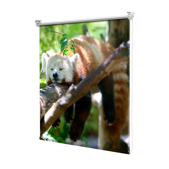 Roleta Art Shade tip Jaluzea cu Rulou si sistem inclus, Art Star, Panda rosu odihnindu-se in copac, Animale, Decoratiuni, Latime 130 cm x Inaltime 130 cm