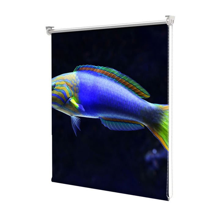 Roleta Art Shade tip Jaluzea cu Rulou si sistem inclus, Art Star, Peste in culori vii, Animale, Decoratiuni, Latime 180 cm x Inaltime 130 cm