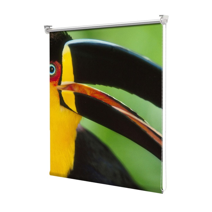 Roleta Art Shade tip Jaluzea cu Rulou si sistem inclus, Art Star, Tucan close-up, Animale, Decoratiuni, Latime 130 cm x Inaltime 130 cm