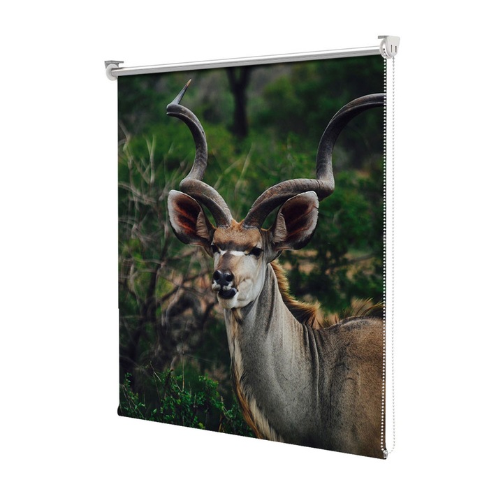 Roleta Art Shade tip Jaluzea cu Rulou si sistem inclus, Art Star, Coarne simetrice, Animale, Decoratiuni, Latime 140 cm x Inaltime 130 cm
