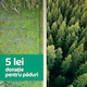 Donatie 5 lei pentru paduri