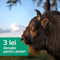 Donatie 3 lei pentru zimbri