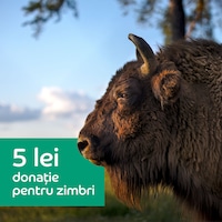 Donatie 5 lei pentru zimbri