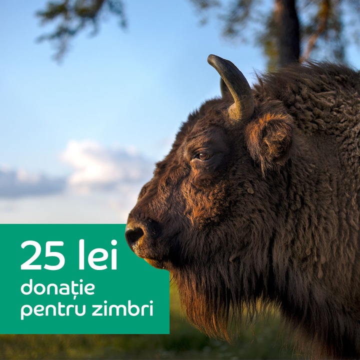 Donatie 25 lei pentru zimbri