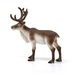 Schleich rénszarvas figura