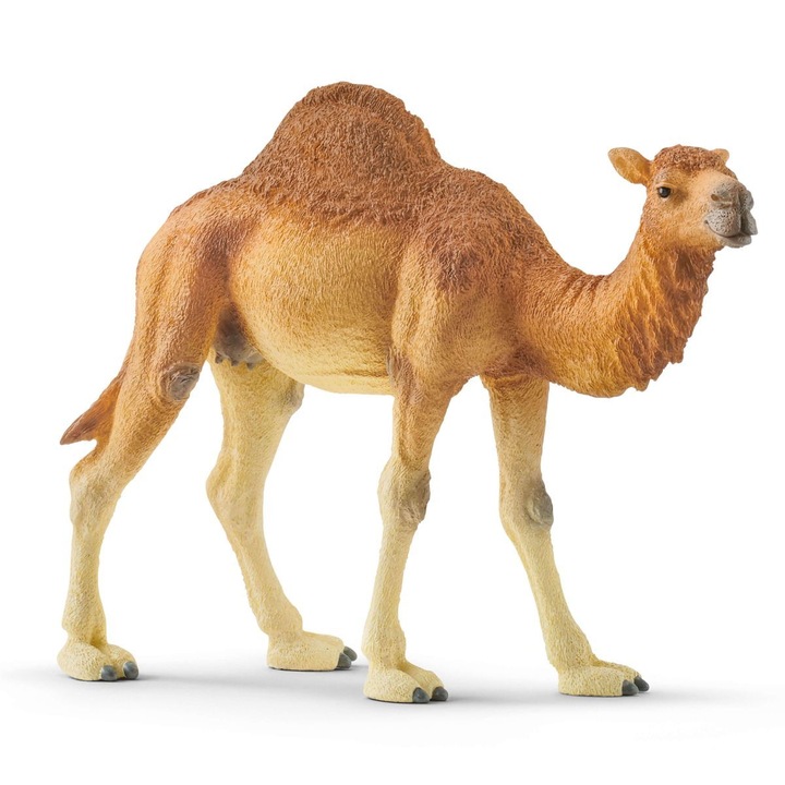 Фигурка Schleich, Dromedary