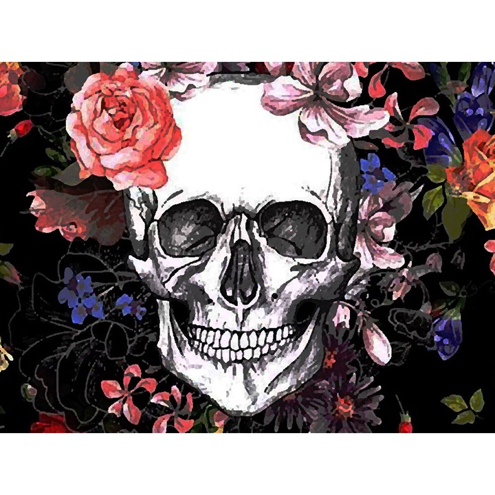 Kit broderie cu diamante rotunde, 5D, 30 x 40 cm, Model craniu, Multicolor