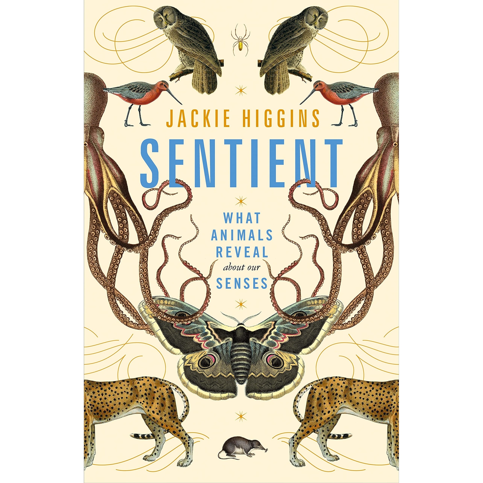 Sentient - Jackie Higgins